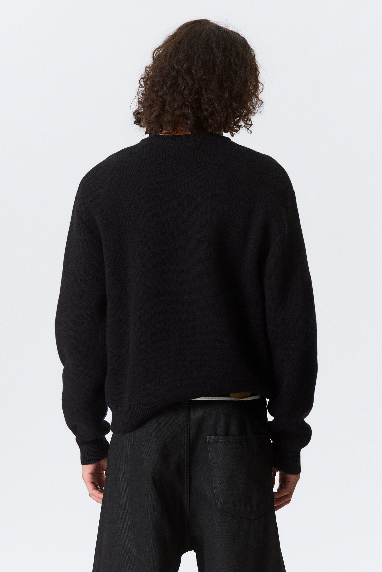 スパイダー JACQUARD COTTON KNIT 23AW regular jacquard knitted graphic sweater - Black - Blue Spray