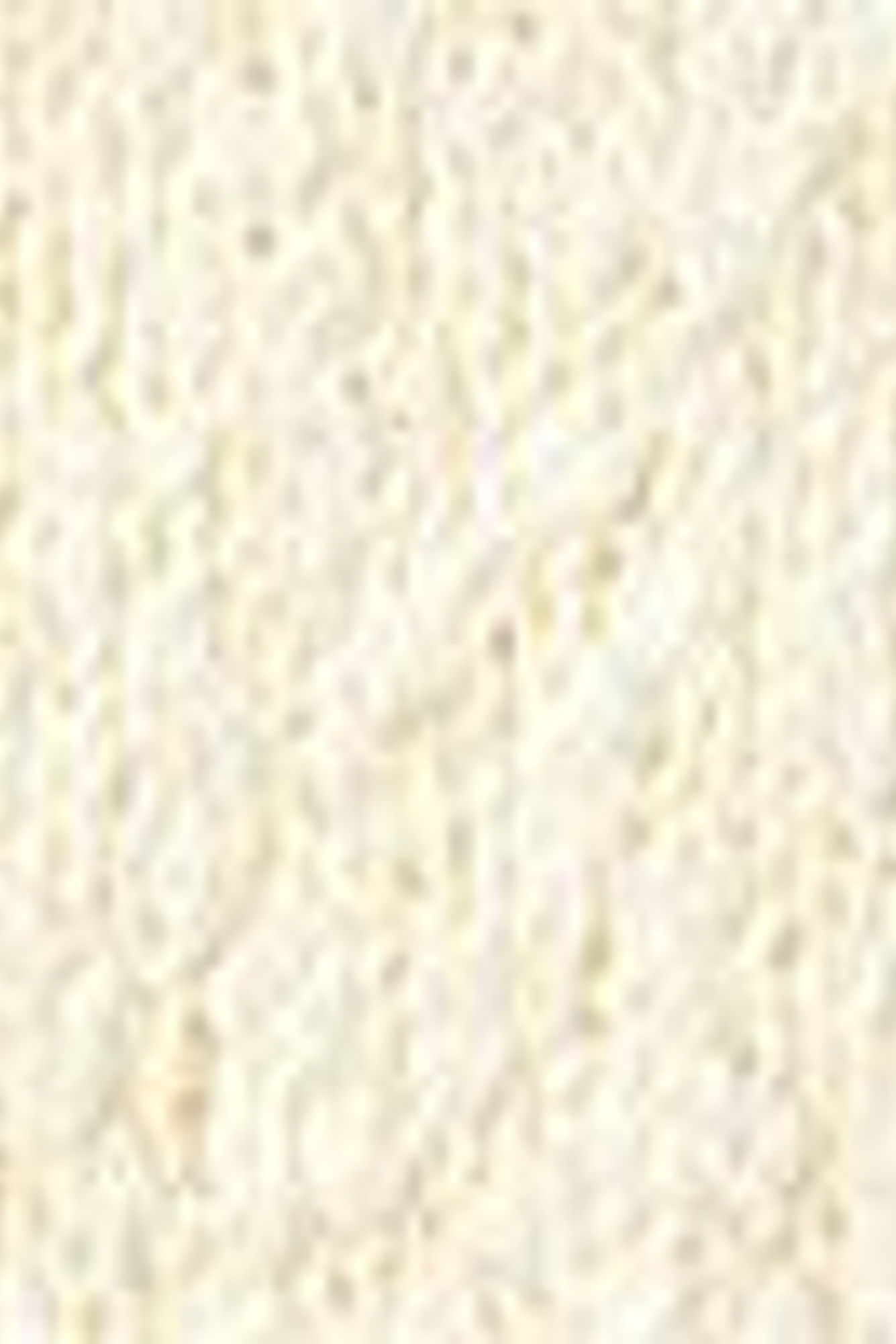 pois ポワ　ふわふわknit vest 新品　　✴︎ホワイト　ivory pois ポワ ふわふわknit vest 新品 ✴︎ホワイト ivory boxy textured